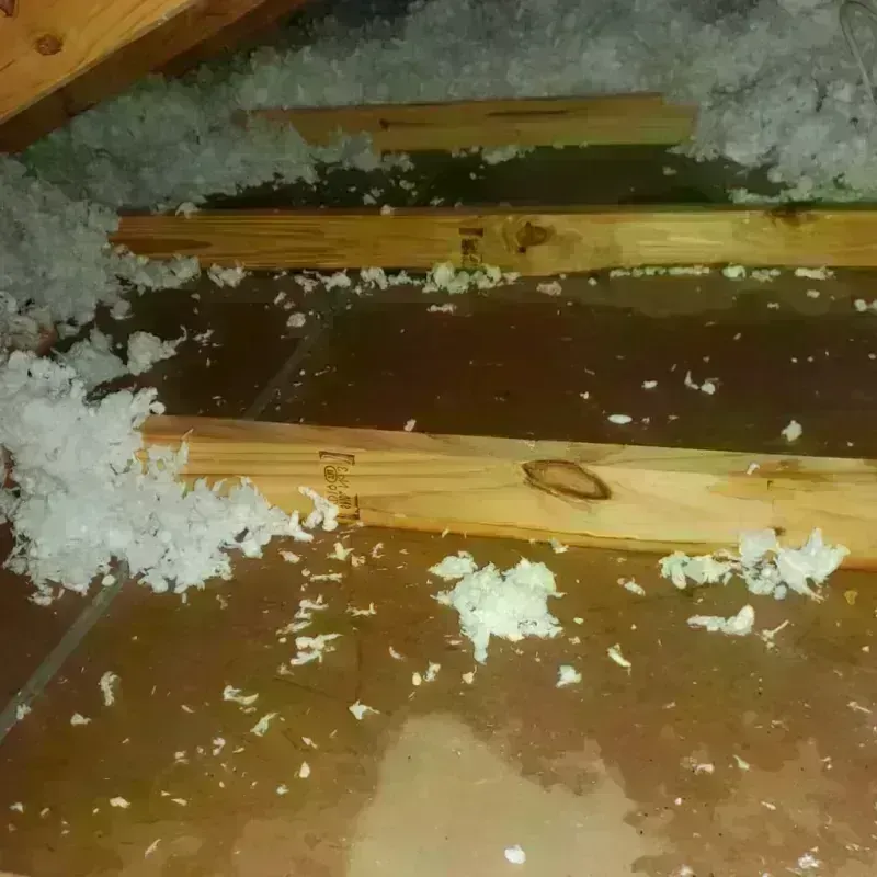 Attic Water Damage in Pasatiempo, CA