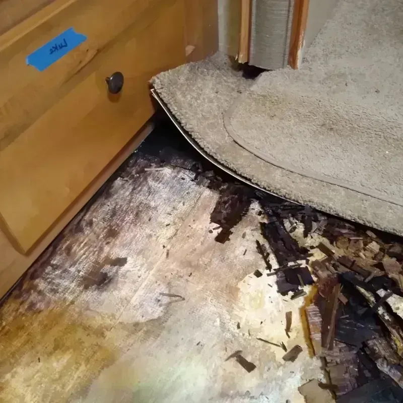 Wood Floor Water Damage in Pasatiempo, CA